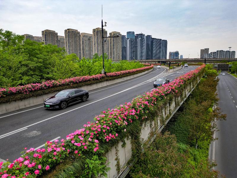 配图1